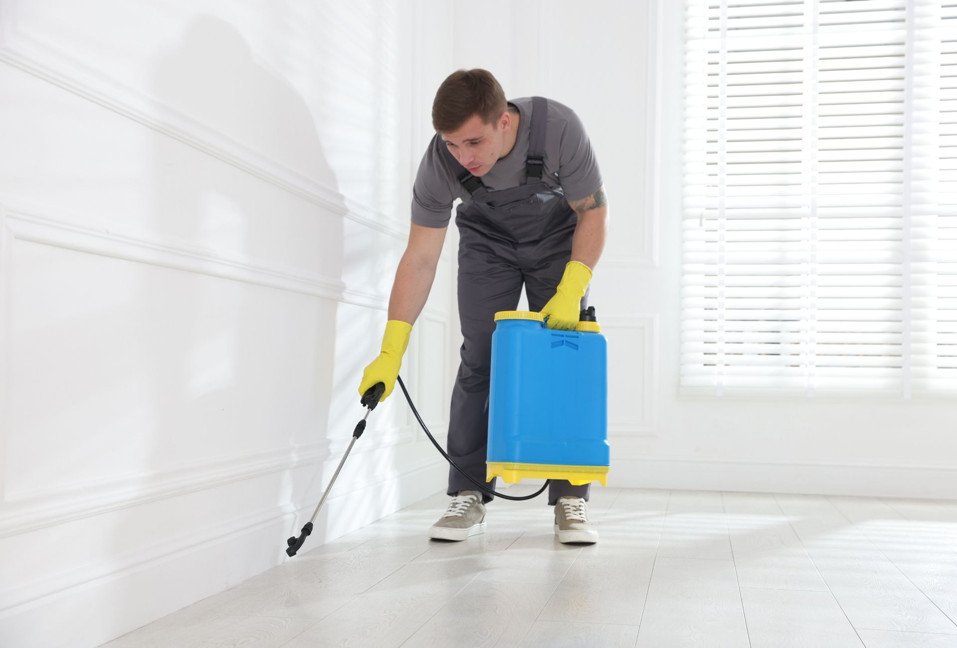 La Moraleja: control de plagas discreto en viviendas de alto nivel y grandes superficies